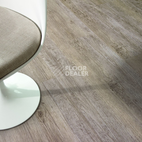 IVC Ultimo (Сlick) IVC Ultimo 24243N фото 9 | FLOORDEALER